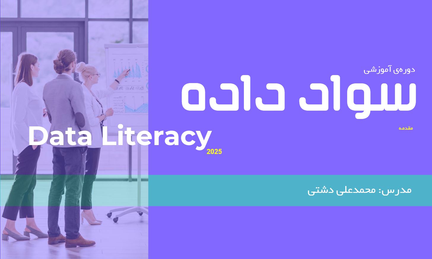 سواد داده (سطح اول)