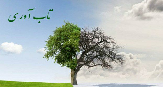 کارگاه تاب آوری